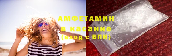 прущие грибы Гусев