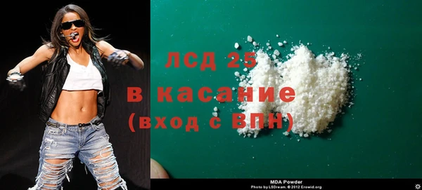прущие грибы Гусев