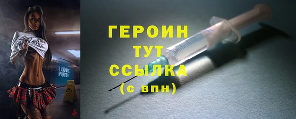прущие грибы Гусев