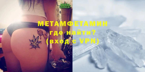 прущие грибы Гусев