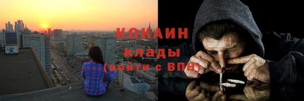 прущие грибы Гусев