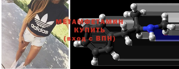 прущие грибы Гусев