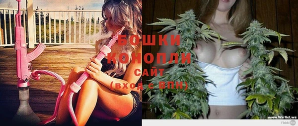 кристаллы Гусь-Хрустальный