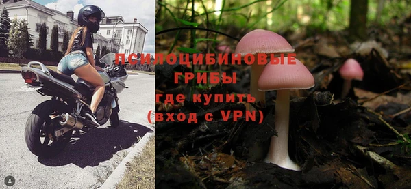 кристаллы Гусь-Хрустальный