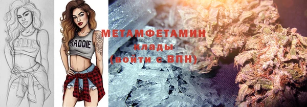 прущие грибы Гусев