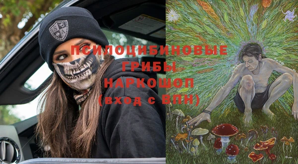кристаллы Гусь-Хрустальный