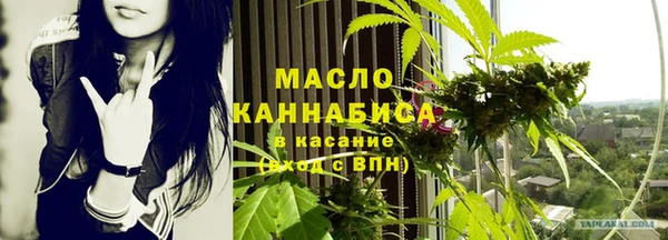 прущие грибы Гусев