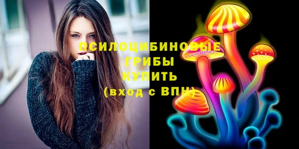 прущие грибы Гусев