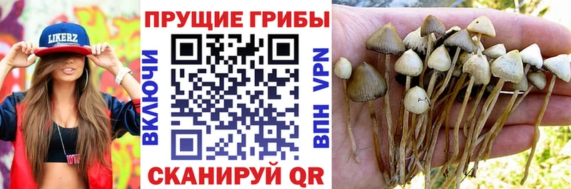 Галлюциногенные грибы мухоморы Ельня