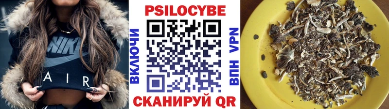 Псилоцибиновые грибы MAGIC MUSHROOMS  Купить закладки  Ельня 